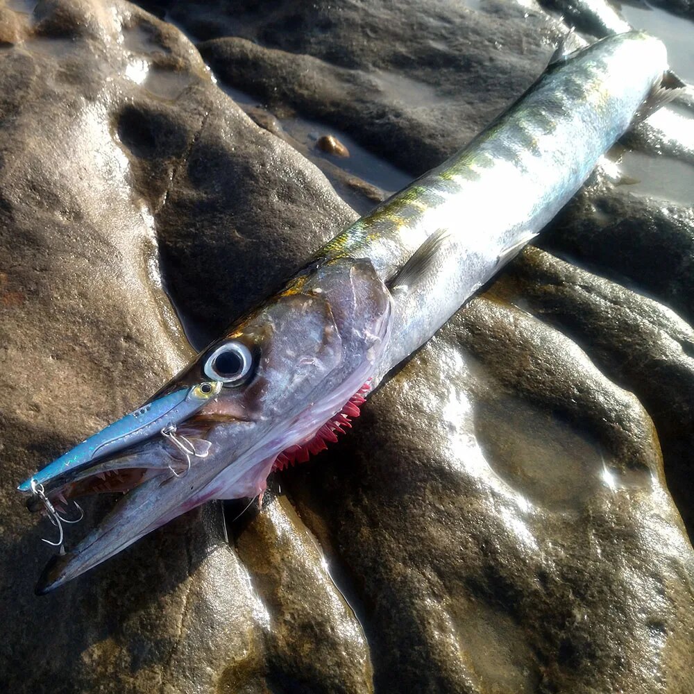 GOBAIT VIB Fishing Lure 20g 25 – Fishing Hook Treble Bewertung und Preis