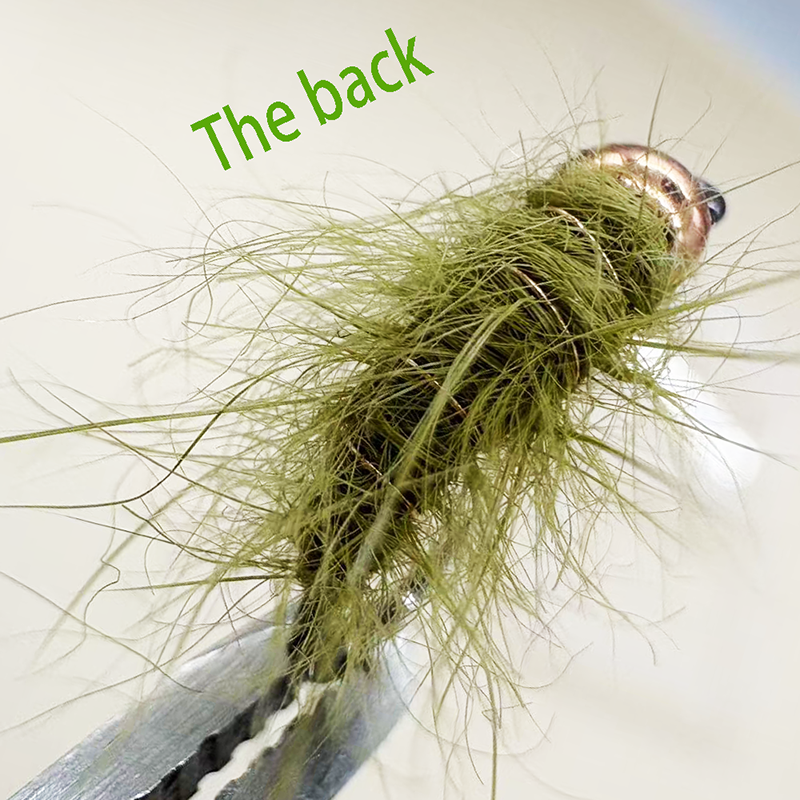 5PCS Fly Fishing Nymphs Wet Fl – Fishing Hook Barbless Bewertung und Preis