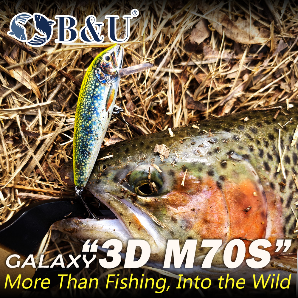B&U Sinking Minnow Fishing Lur – Fishing Hook Treble Bewertung und Preis