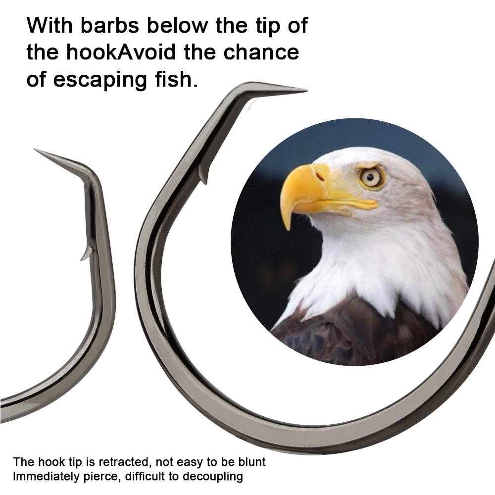 FTK Fishing Hooks Fishing Octo – Fishing Hook Circle Bewertung und Preis
