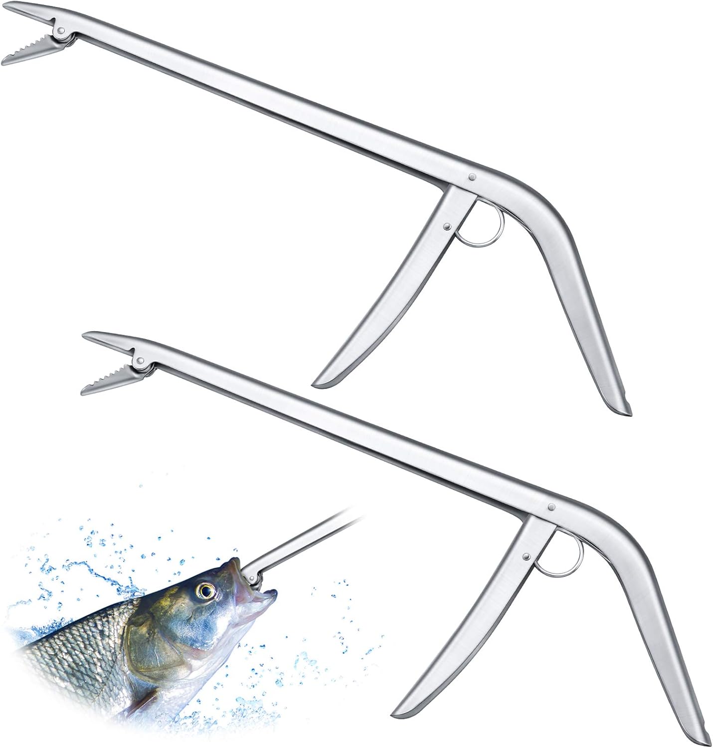 2 Pieces Stainless Steel Fish  – Fishing Hook Bewertung und Preis